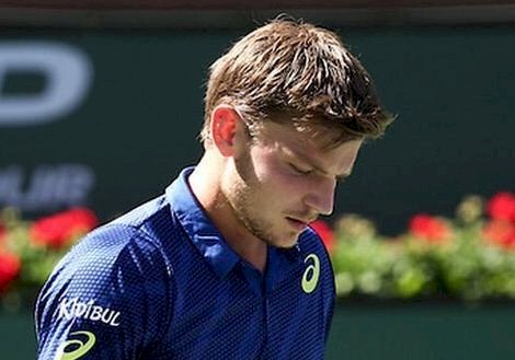ATP年終賽 高芬爆冷擊敗費德瑞挺進決賽