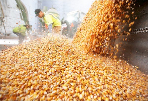 中對美高粱祭重稅 美高粱貨船突調頭