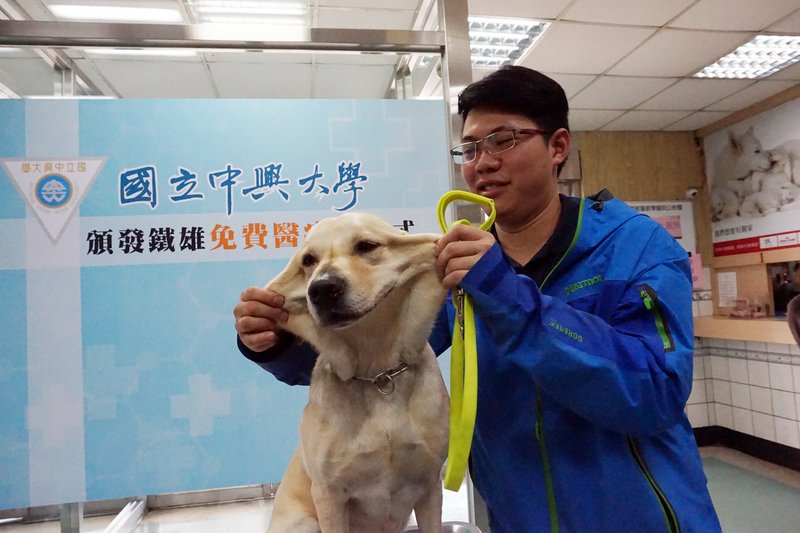 搜救犬鐵雄康復了 罐頭加菜歡喜過年