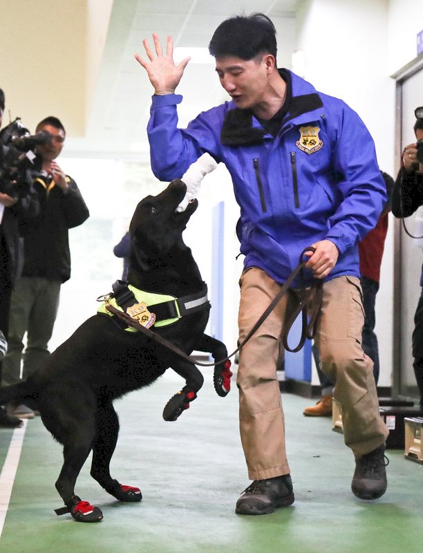 偵爆犬嗅出細微火藥味 關鍵基因先篩選