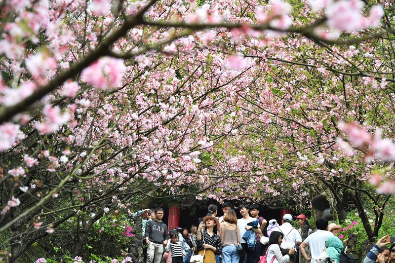 東北季風增強天氣涼 18日氣溫回升