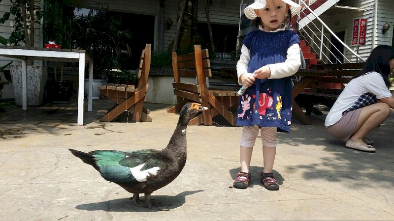 護眼2大招 距離35公分與多戶外活動