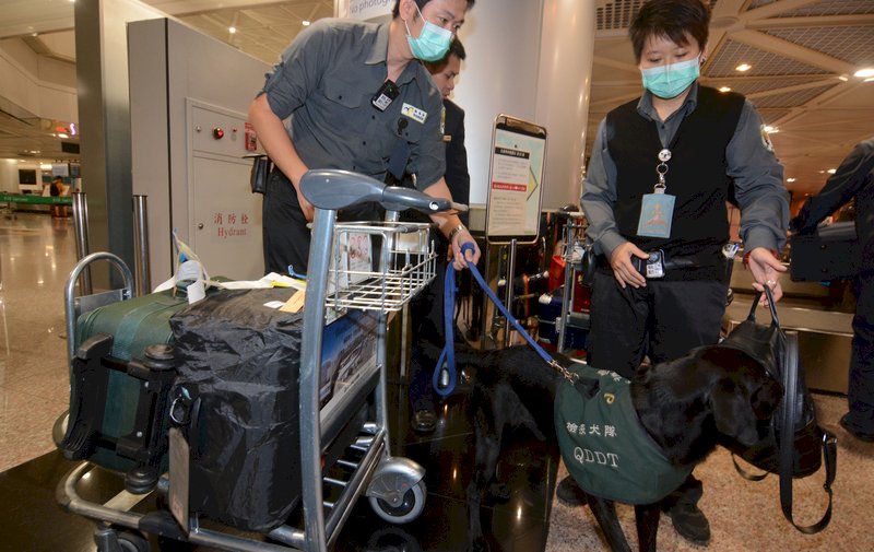 非洲豬瘟防疫升級 旅客攜豬肝腸被罰20萬