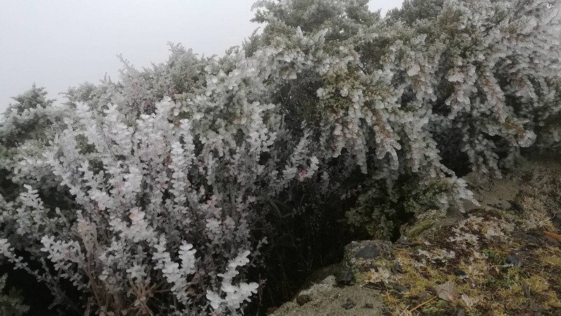 明起寒意濃 平地下探10度、玉山初雪可期