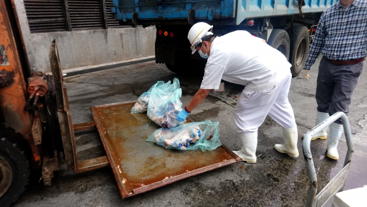 關渡公園及家禽批發市場 出現H5N2禽流感案例