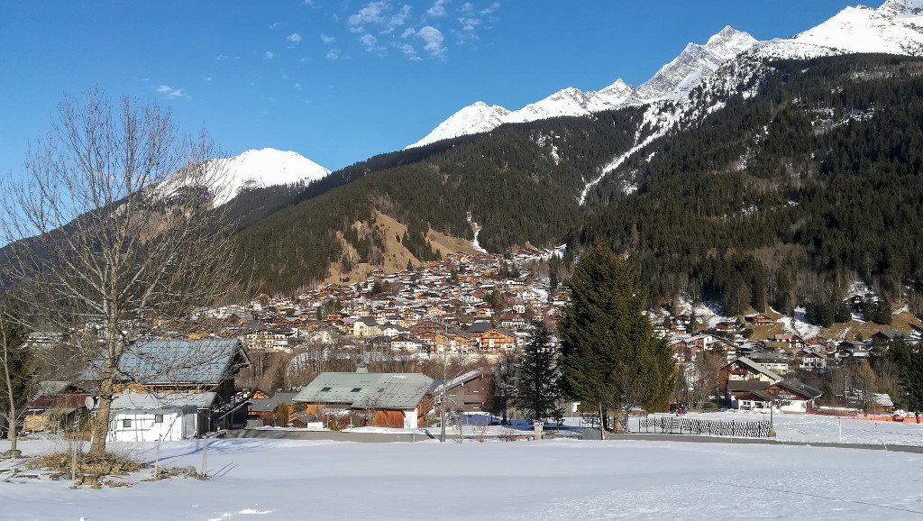 英男在星染武漢肺炎 返歐後住法小木屋傳染多人
