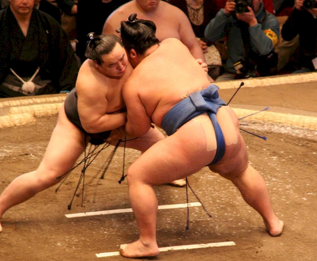 日本相撲也淪陷 首位力士確診武漢肺炎