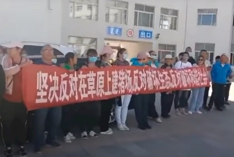 內蒙牧民遊行 抗議草原養豬破壞環境