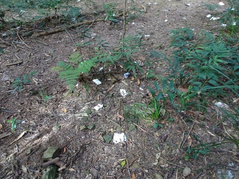 終結「小白花」之亂 ！加里山登山口設流動廁所