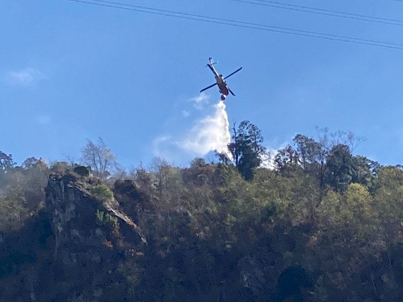八仙山林班地樹頭燃燒 &nbsp;下邊坡火勢獲控制(影音)
