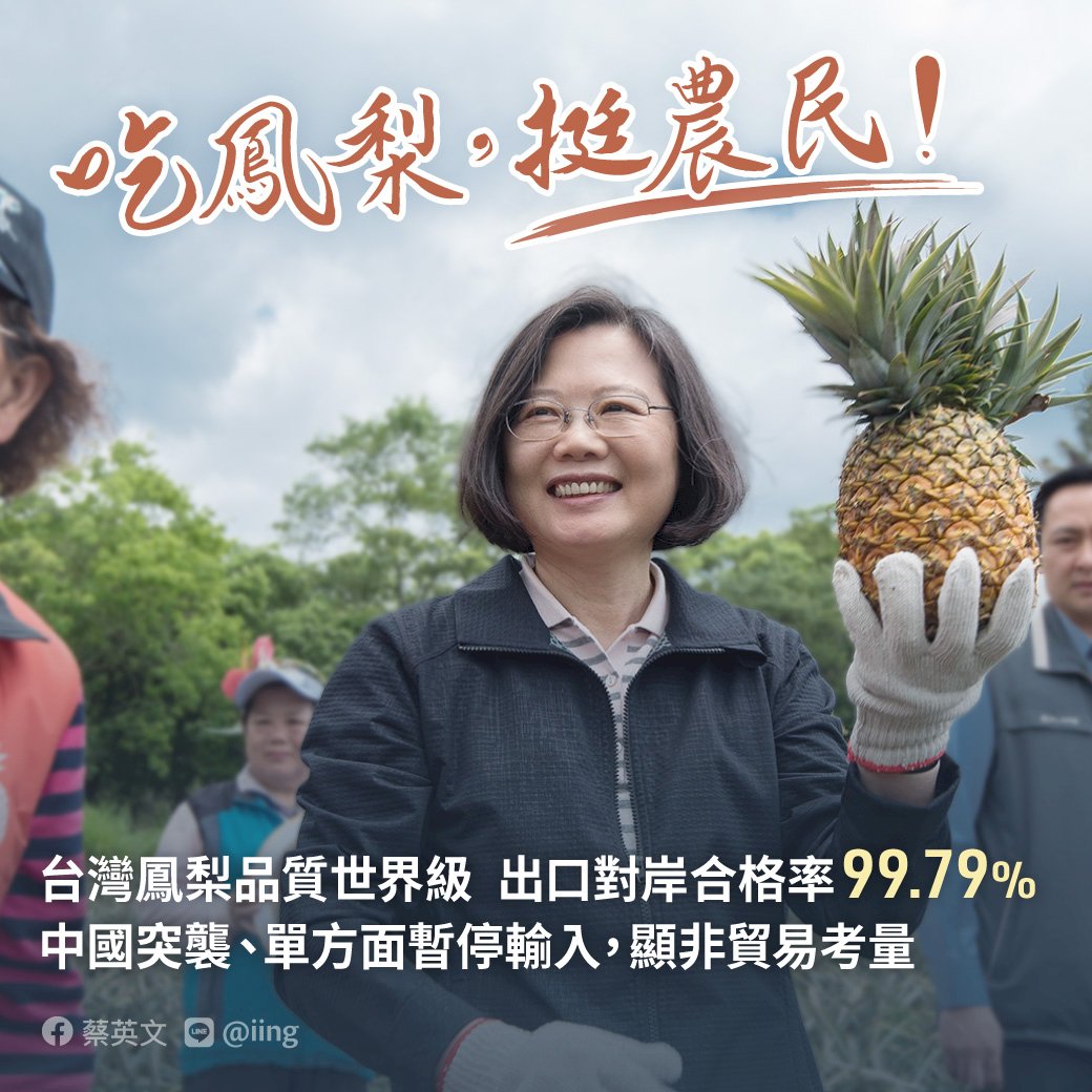 鳳梨效應？蔡英文總統支持度暴增至5成8