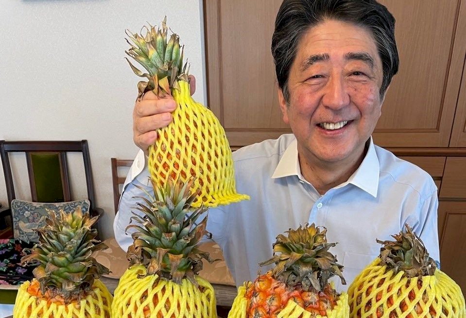 日媒：為制衡岸田內閣親中派 安倍晉三可望訪台