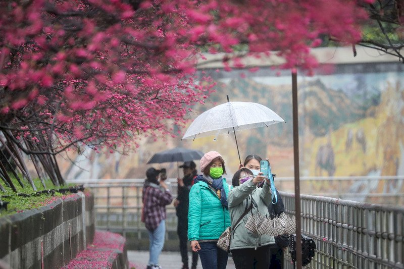 中南部可見陽光 北部雨緩仍有寒意