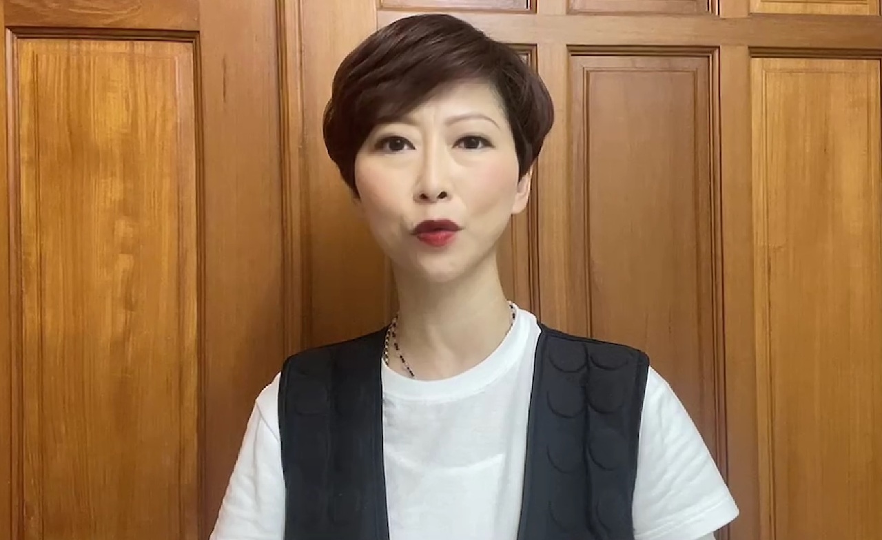 馬英九訪中／綠委：不代表2300多萬台灣人
