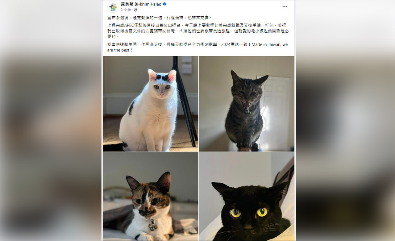 蕭美琴啟程赴美辦交接&nbsp;帶4貓返台團圓拚選戰