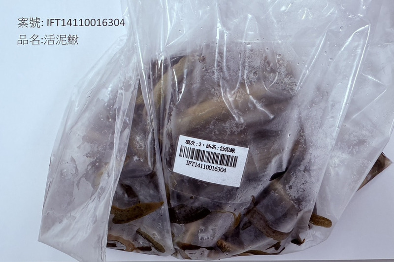 中國進口活泥鰍用藥殘留違規 逾2噸邊境退運銷毀